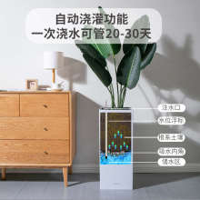 自动吸水懒人花盆轻奢客厅北欧简约落地大号长方形方形深高盆花