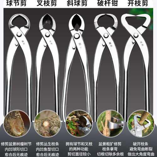 鼎木盆景修剪造型工具叶芽剪剪刀斜切钳头枝叶不锈钢原装剪小分苗