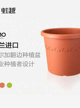 虹越爱好elho阿尔加塑料大绣球花盆种植盆种植盆换玫瑰口径月季