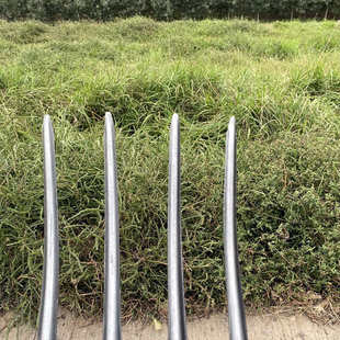 翻地松土神器开荒挖土姜蒜葱花生叉挖粪种菜钢叉农用工具四齿叉子