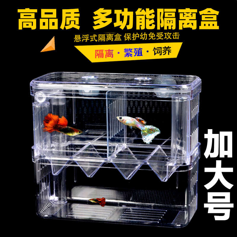 孔雀鱼凤尾鱼玛丽红箭鱼繁殖盒特大大号孵化盒小鱼鱼苗幼鱼隔离