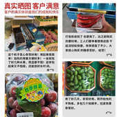 保鲜膜打包机超市生鲜包装 机 机商用封口机膜切割封膜机插电包装