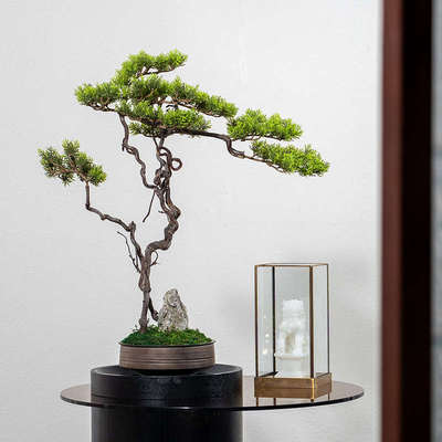 宋代美学中式盆景仿真迎客松绿植民宿玄关茶空间造景摆件茶室盆栽