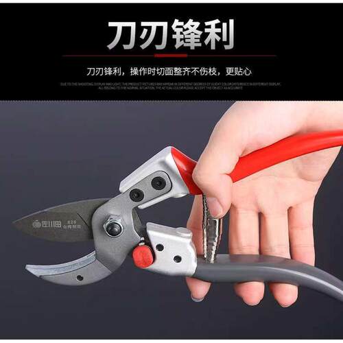 原装进口钢佐川田修枝剪果树园林园艺树枝剪刀强力剪子省力粗枝剪