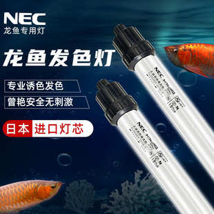 nec潜水灯鱼缸灯金红龙鱼专用灯防水潜水6700K三基色t8照明增艳