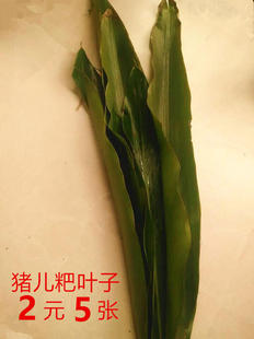 特价销售四川特产红桥 猪儿粑 叶子 磕粉 叶子 叶儿粑叶子 2元5张