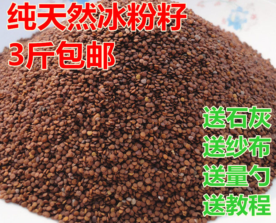 四川特产手搓冰粉籽凉粉籽 原味冰粉原料 手工天然野生木瓜子冰籽