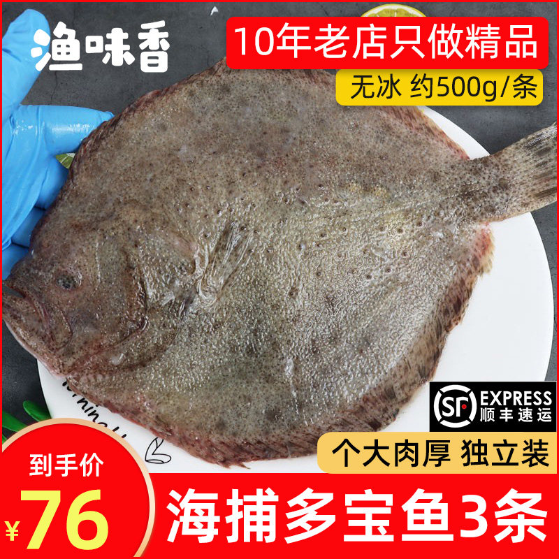 超大多宝鱼新鲜冷冻特大比目鱼八宝鱼扁口左口鱼菱鱼鲽鱼顺丰包邮