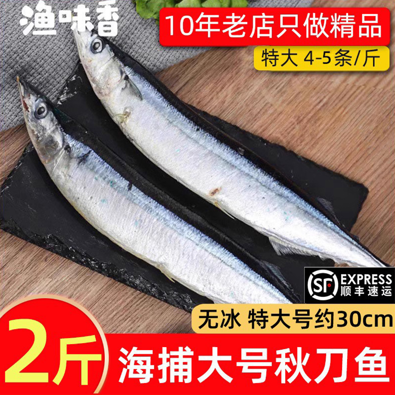 海捕大号秋刀鱼顺丰包邮