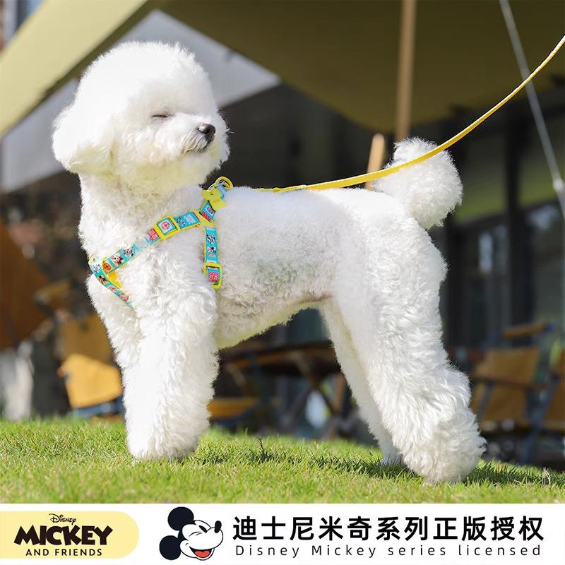 米奇系列狗狗牵引绳遛狗的绳泰迪小型犬狗链A字型胸背带