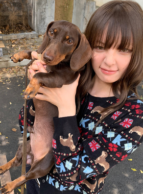 KERNEL COSMOS 海德小腊肠 秋季时髦腊肠狗提花毛衣开衫/包包套组