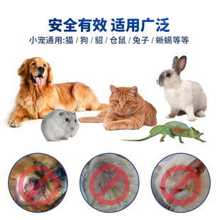 包邮仓鼠兔子龙猫荷兰猪神仙水皮炎真菌消外伤口消炎
