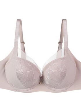 安莉芳Comfit大胸调整型文胸B厚款CDE薄杯收副乳聚拢内衣CB00154