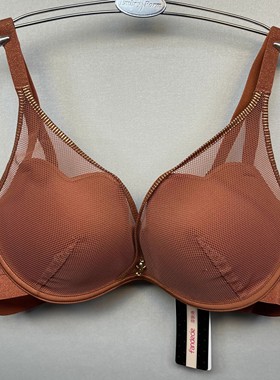 芬狄诗无钢圈内衣网纱厚杯小胸上托聚拢文胸FB00276