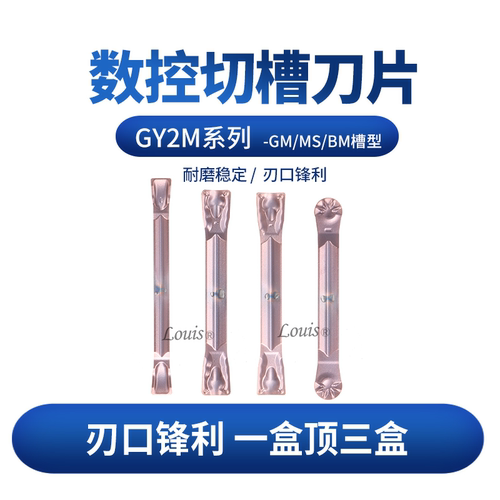 GY2M0200D020N-GM/GY2M0300F020