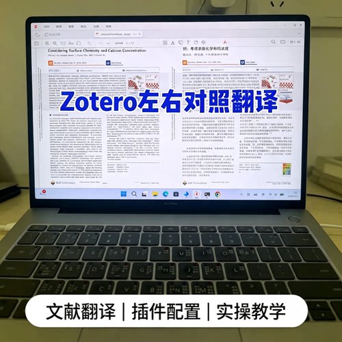 Zotero 左右对照翻译教程文献翻译插件配置小白入门实操教学资料