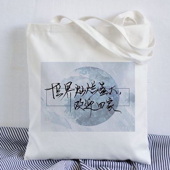 耽美小说全球高考帆布包单肩女包游惑秦究周边通勤上课手提袋定制
