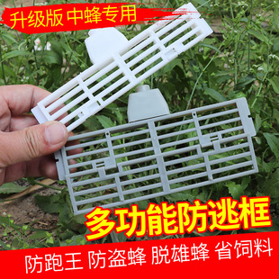 多功能蜂王防逃框中蜂专用蜂箱巢门防盗器蜜蜂塑料防跑片养蜂工具