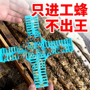 新型蜜蜂王笼十字囚蜂王盒中蜂意蜂专用大空间关王收蜂器养蜂工具