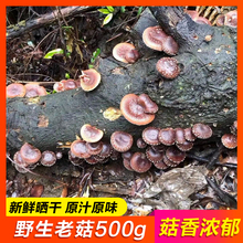 正宗韶关特产罗坑野生香菇干货天然椴木蘑菇冬菇 野生香菇500g