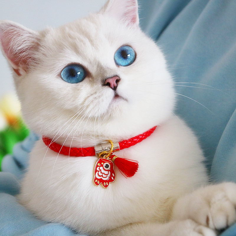 宠物项圈可爱编织猫饰品