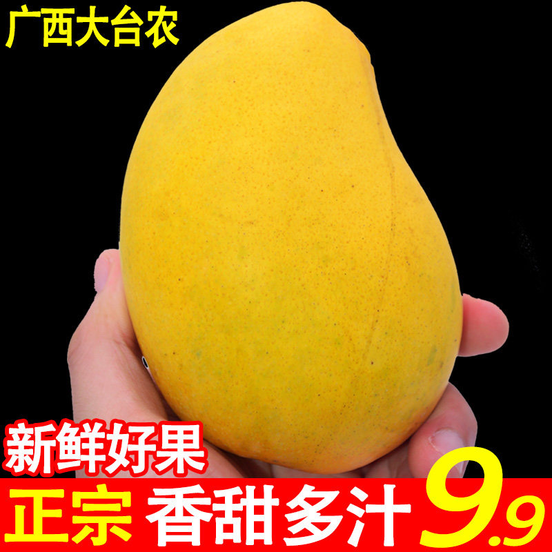 广西台农芒果包邮当季