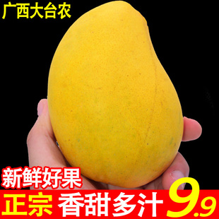 广西百色台农芒大果包邮 当应季新鲜水果现摘整箱大小台农香甜5斤