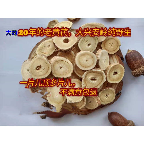 东北北黄芪大兴安岭特产