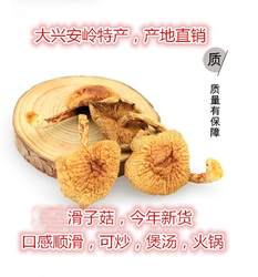 东北大兴安岭菌菇滑子蘑蘑菇干货滑子菇小黄蘑香菇滑子菇包邮500g