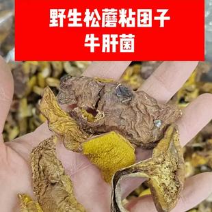 新货东北特产野生松蘑菇粘团子牛肝菌包邮松菇粘蛾子松蛾自然晾晒