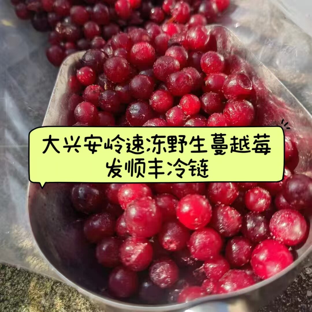 大兴安岭野生蔓越莓红豆雅阁达速冻鲜果新酱酵素低卡顺丰冷链包邮