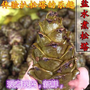 新货大兴安岭水煮松树塔野生马尾松塔盐水煮偃松塔咸味 500g包邮