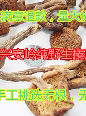 大兴安岭新鲜500g小鸡炖蘑菇
