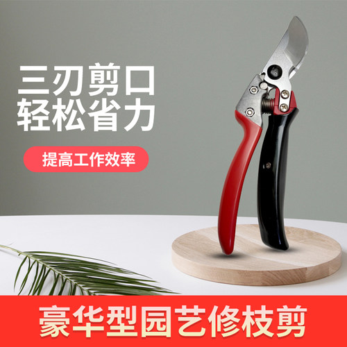 修枝剪园艺工具ARS日本进口剪刀