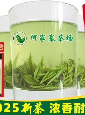 信阳毛尖2025新茶雨前茶特级茶叶浓香型绿茶散装春茶一芽一叶500g
