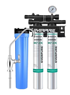 爱惠浦MC2双联商用净水器