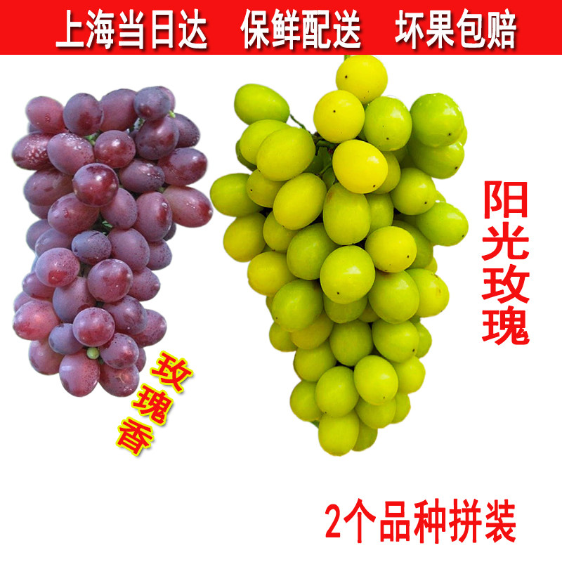 马陆葡萄玫瑰香果园自销