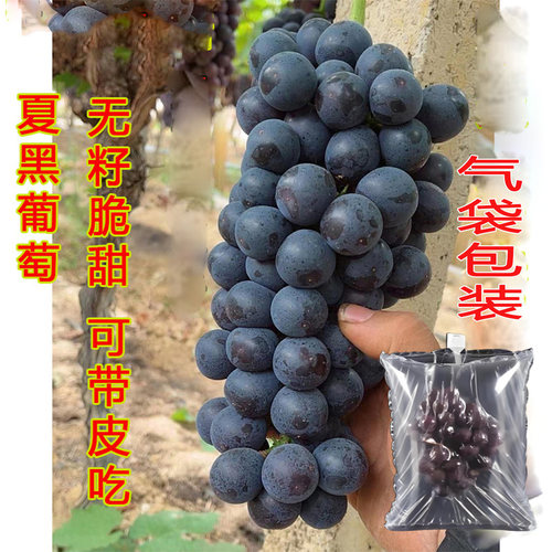 马陆润发果园自产自销