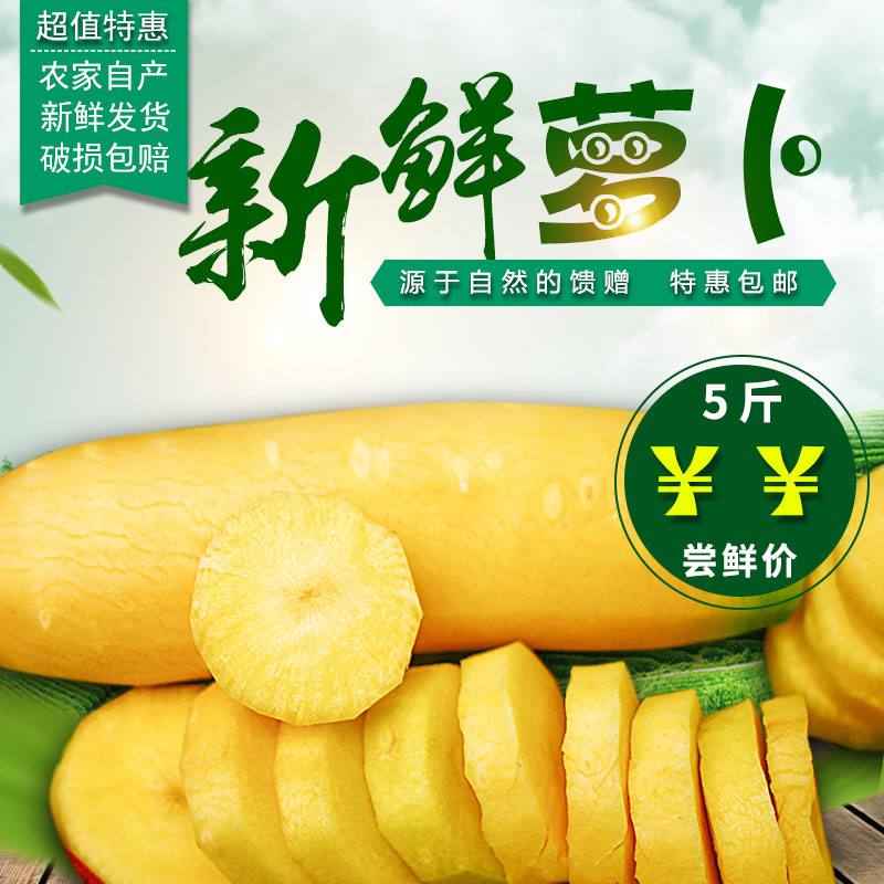 山西新鲜蔬菜黄萝卜黄皮胡萝卜可做新疆手抓饭农家自种5斤装包邮