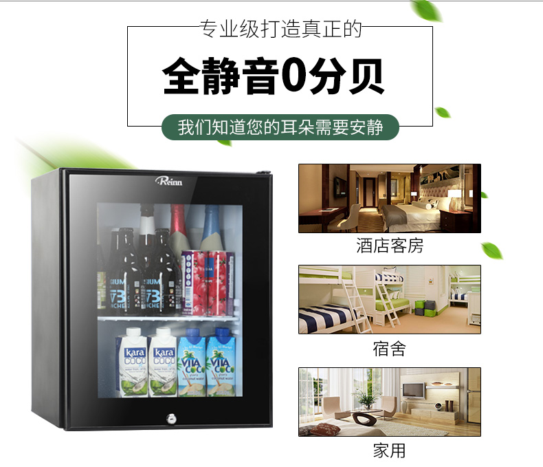 冰箱REINN全静音透明节能环保