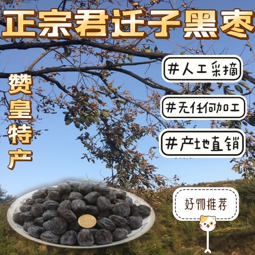 推荐正宗有核黑枣君迁子小柿子新货黑枣非嫁接无核黑枣熏枣狗头枣