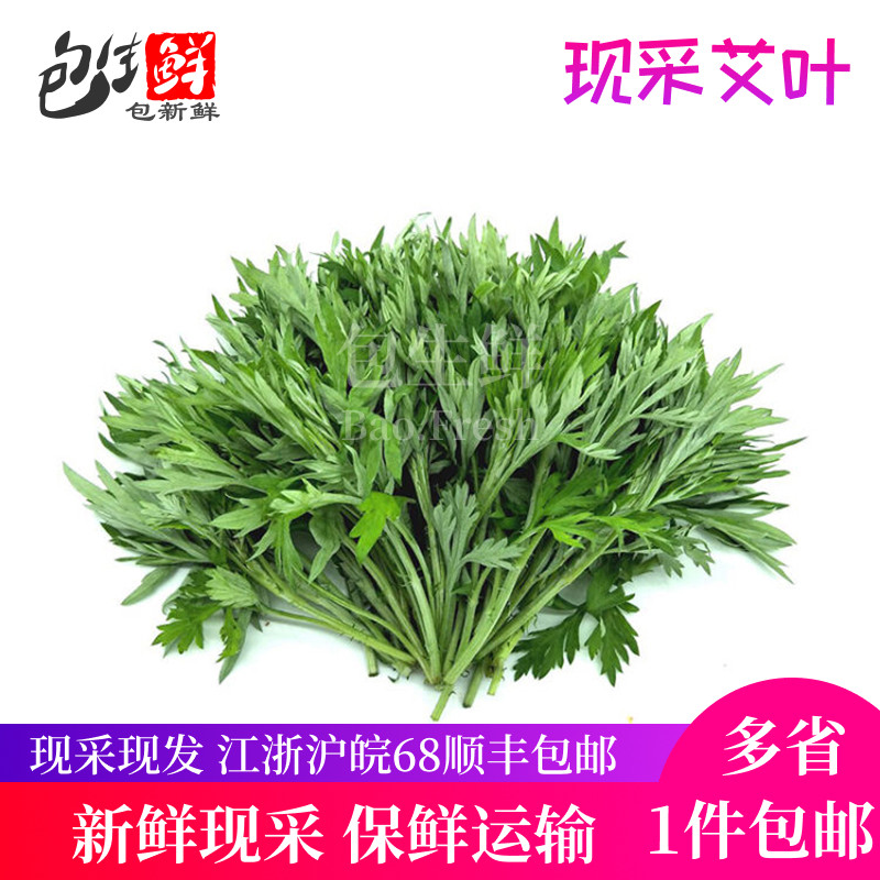 艾草新鲜食用蔬菜现摘清明草粑粑叶菜类