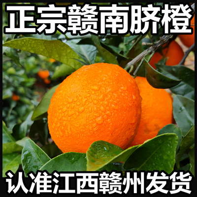 赣南脐橙20斤+产地直发