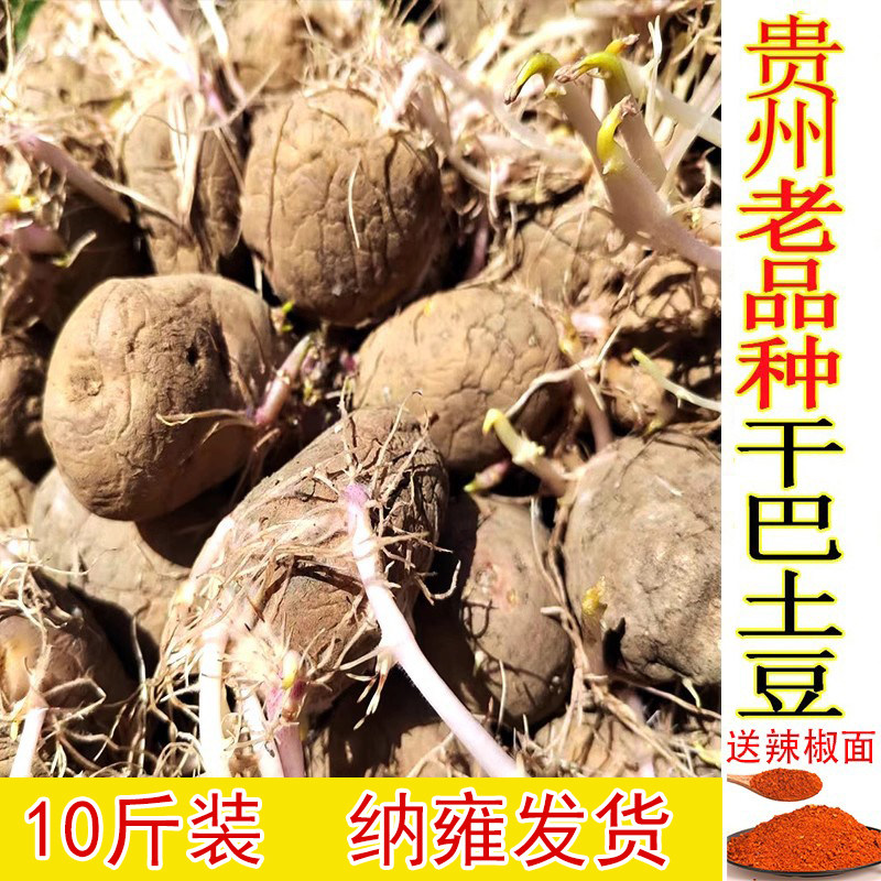 贵州云南干巴米拉洋芋黑心干巴土豆去往年皱纹老品种土豆洋芋批发
