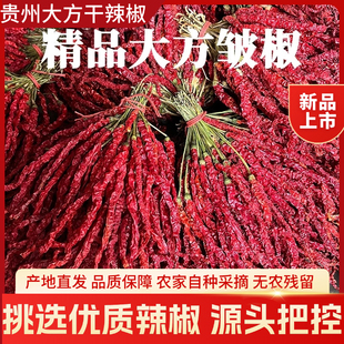 新款线椒干辣椒微辣特香商用辣皮子二荆条干货贵州特产纳雍红椒