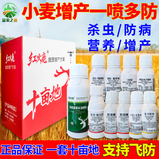 小麦一喷三防增产套餐白粉病赤霉病锈病蚜虫红蜘蛛农药杀菌剂正品