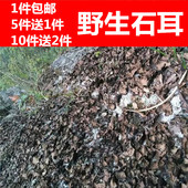 包邮 石木耳食用农产品干货50g 岩耳 井冈山特产正宗野生特级石耳