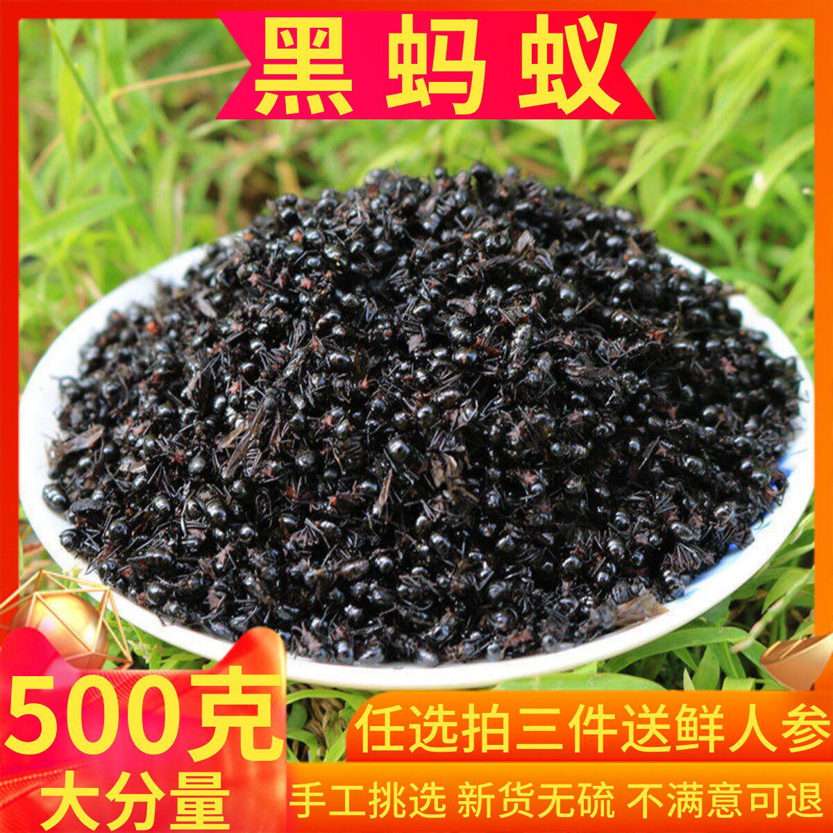 黑蚂蚁干500g包邮长白山蚁拟黑多刺蚁养生泡酒料大蚂蚁酸黑蚂蚁粉