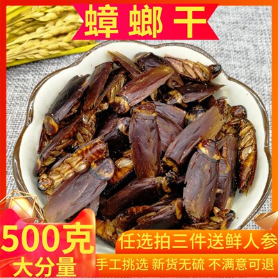 中药材蟑螂干美洲大蠊干