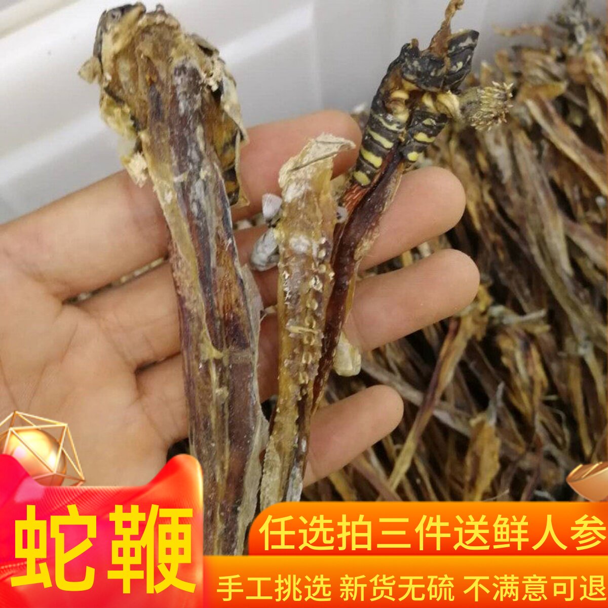 正品纯眼镜蛇鞭500克包邮 泡酒料 正品干蛇鞭 中药材另全蝎蜈蚣